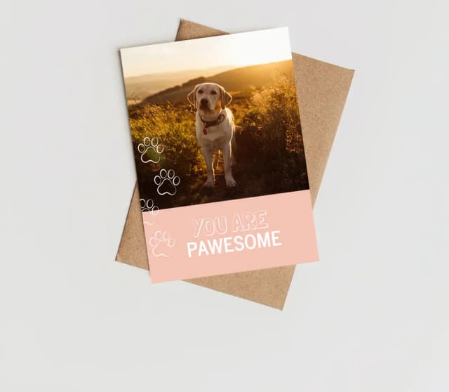 pet card
